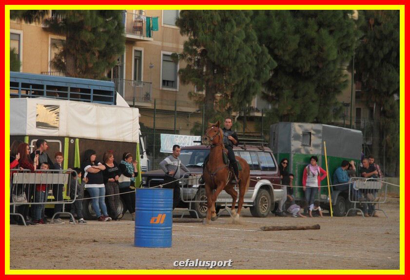 161106 equestre 066_tn.jpg